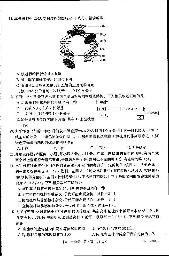 河北省邢台市翰林高级中学等校2023-2024学年高一年级下学期4月期中考试生物试题第2页