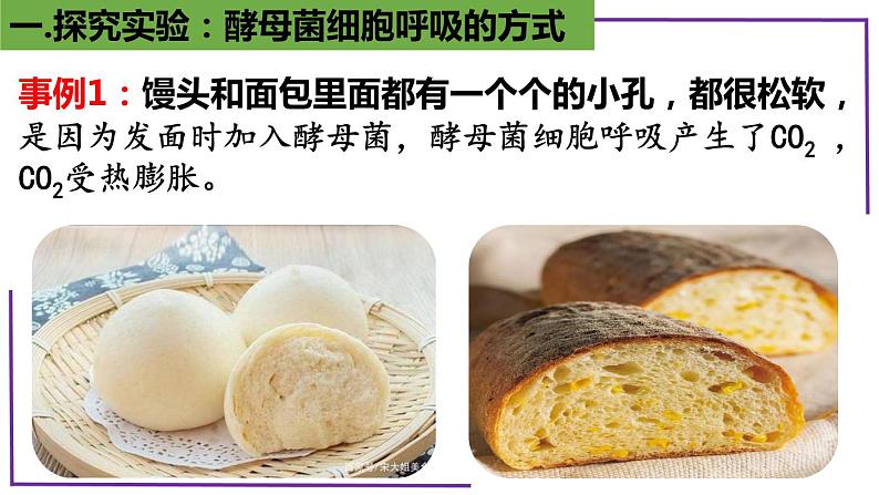 精讲15 探究酵母菌细胞呼吸的方式-【备战一轮】最新高考生物一轮复习名师精讲课件第5页
