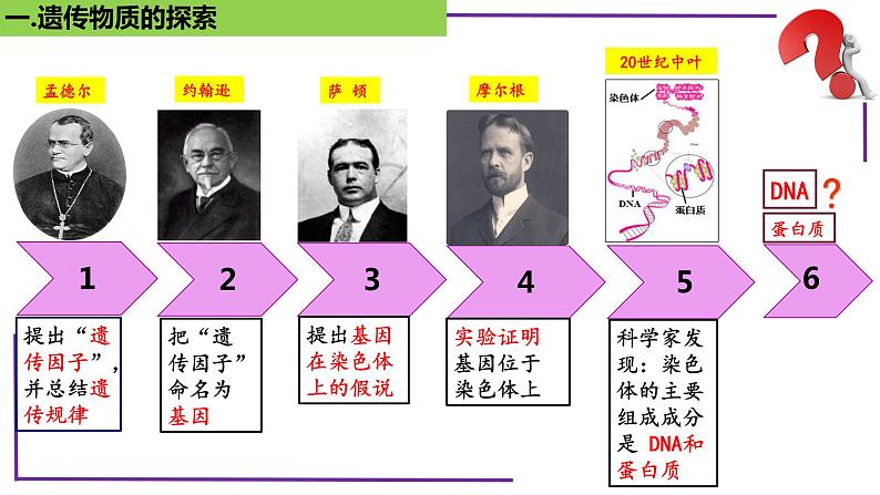 精讲39 DNA是主要的遗传物质-【备战一轮】最新高考生物一轮复习名师精讲课件第6页