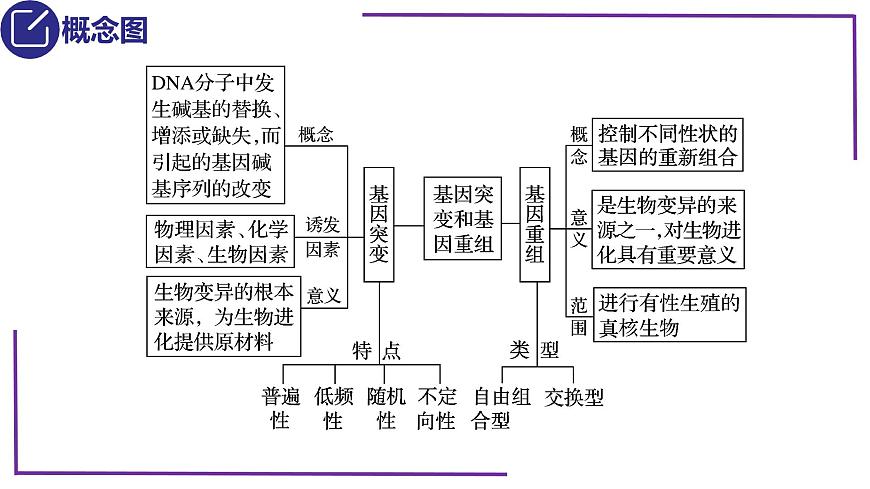 精講44 基因突變和基因重組-【備戰(zhàn)一輪】最新高考生物一輪復(fù)習(xí)名師精講課件第5頁