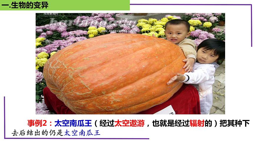 精講44 基因突變和基因重組-【備戰(zhàn)一輪】最新高考生物一輪復(fù)習(xí)名師精講課件第7頁