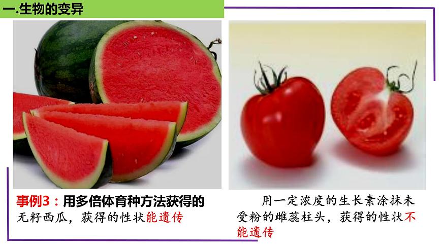精講44 基因突變和基因重組-【備戰(zhàn)一輪】最新高考生物一輪復(fù)習(xí)名師精講課件第8頁