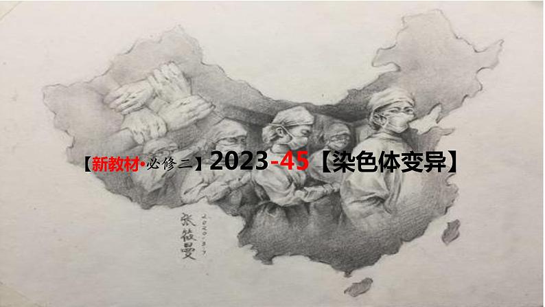 精讲45 染色体变异-【备战一轮】最新高考生物一轮复习名师精讲课件第3页