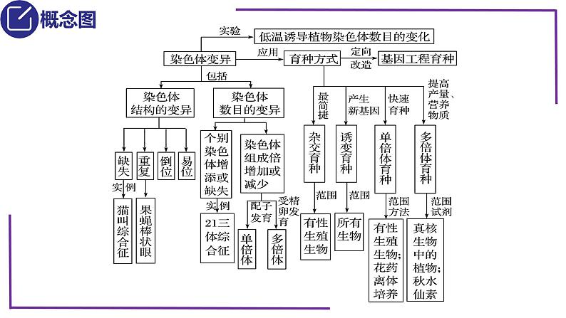 精讲46 变异在育种上的应用-【备战一轮】最新高考生物一轮复习名师精讲课件第5页