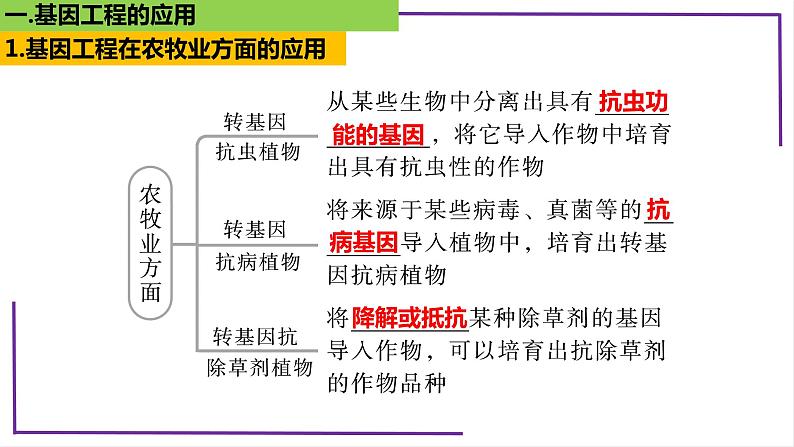 精讲81 基因工程应用和蛋白质工程-【备战一轮】最新高考生物一轮复习名师精讲课件07
