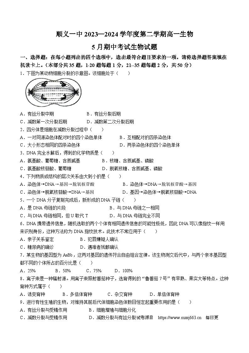 北京市顺义区第一中学2023-2024学年高一下学期期中生物试题01