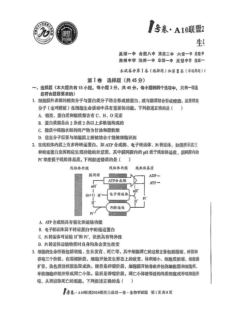 安徽省1号卷A10联盟2024届高三最后一卷生物试题(附参考答案)01