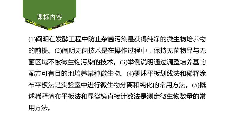 2025届高考 一轮复习 人教版 微生物的培养技术及应用 课件第2页