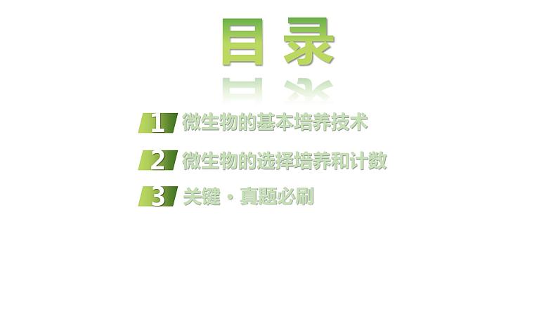 2025届高考 一轮复习 人教版 微生物的培养技术及应用 课件第3页