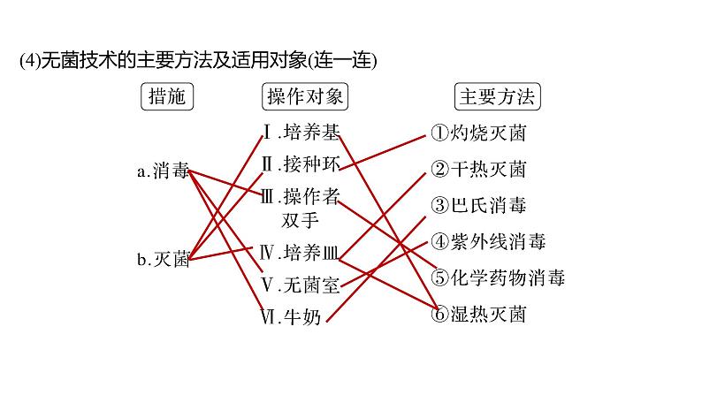 2025届高考 一轮复习 人教版 微生物的培养技术及应用 课件第8页