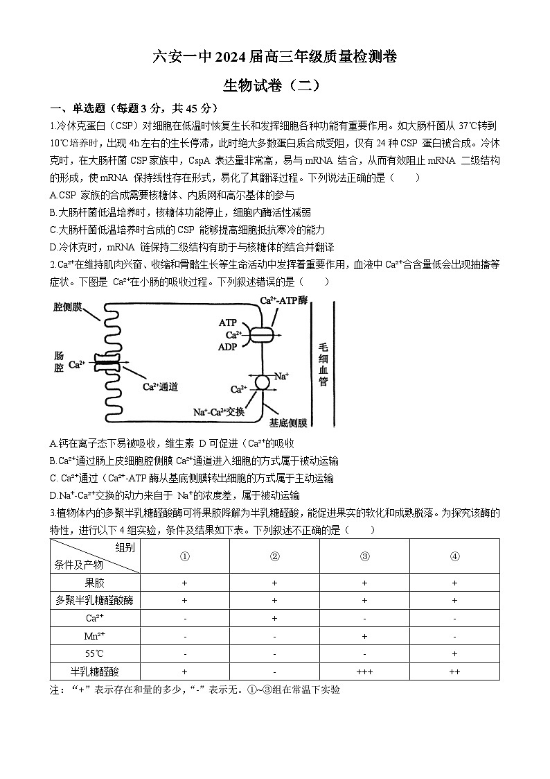 2024届安徽省六安第一中学高三下学期质量检测(二+)生物试题第1页