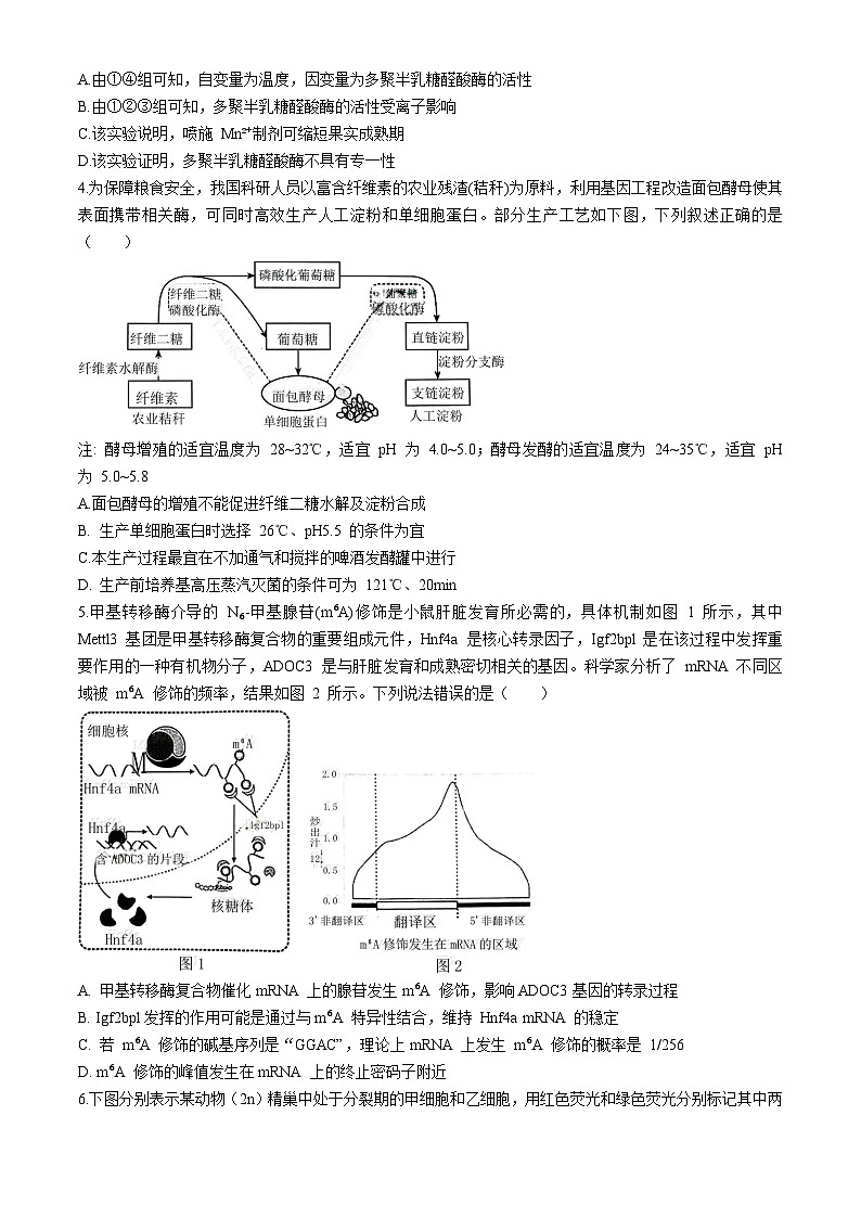 2024届安徽省六安第一中学高三下学期质量检测(二+)生物试题第2页