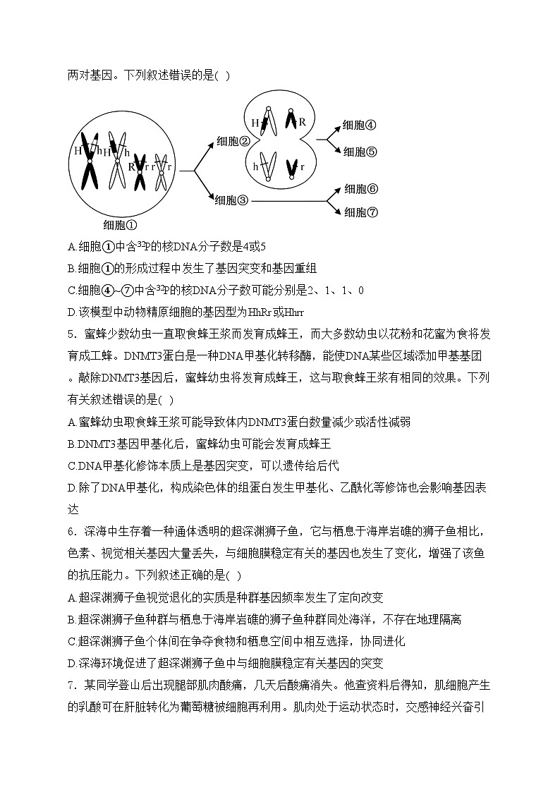 湖南省永州市2024届高三第二次模拟生物试卷(含答案)第2页