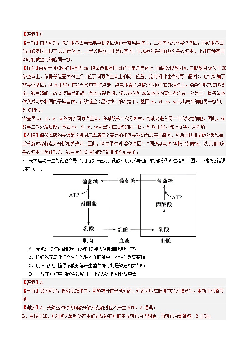 2024年高考第三次模拟考试题:生物(北京卷)(解析版)第2页