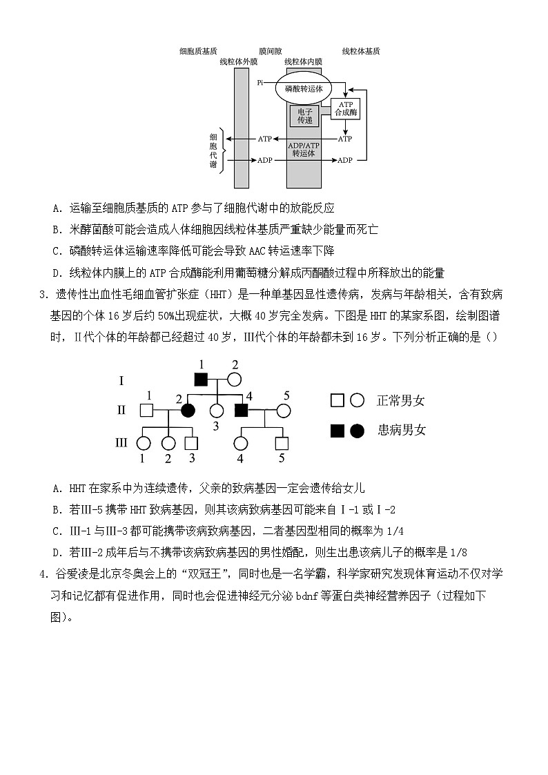 2024年高考第三次模拟考试题:生物(河南、新疆卷)(考试版)02