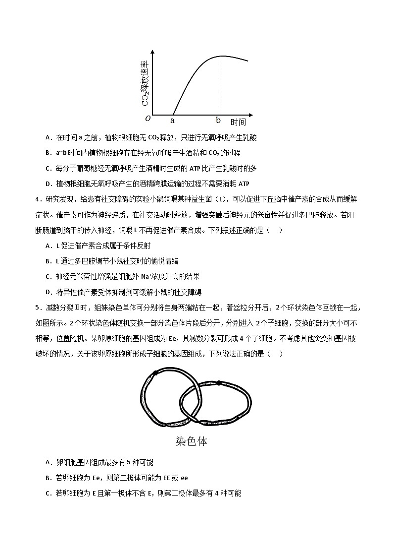 2024年高考第三次模拟考试题:生物(全国卷老教材)(考试版)02
