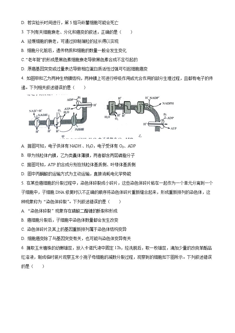 2024年辽宁省高考生物压轴冲刺卷(二)(原卷版)第2页
