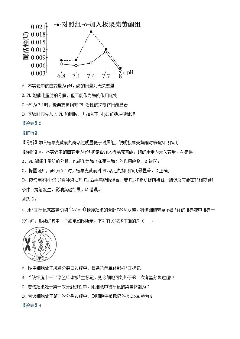 山东省2024年普通高中学业水平等级考试抢分卷(二)生物试题(解析版)第3页