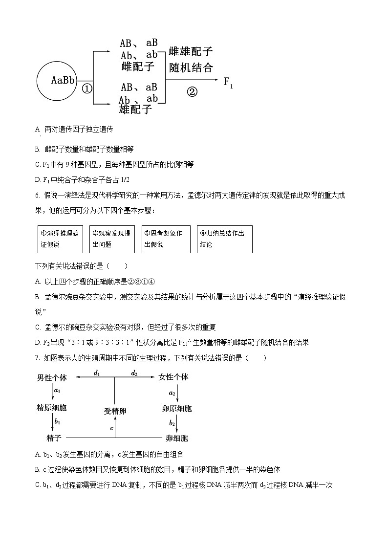 广东省潮州市松昌中学2023-2024学年高一下学期期中考试生物试题(原卷版+解析版)02