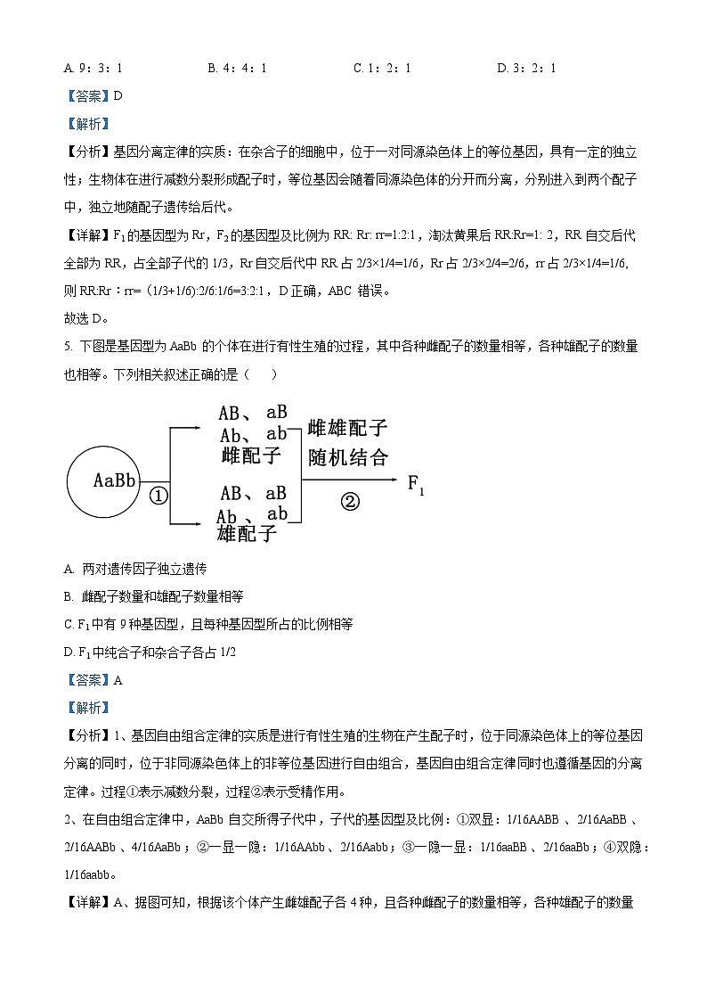 广东省潮州市松昌中学2023-2024学年高一下学期期中考试生物试题(原卷版+解析版)03