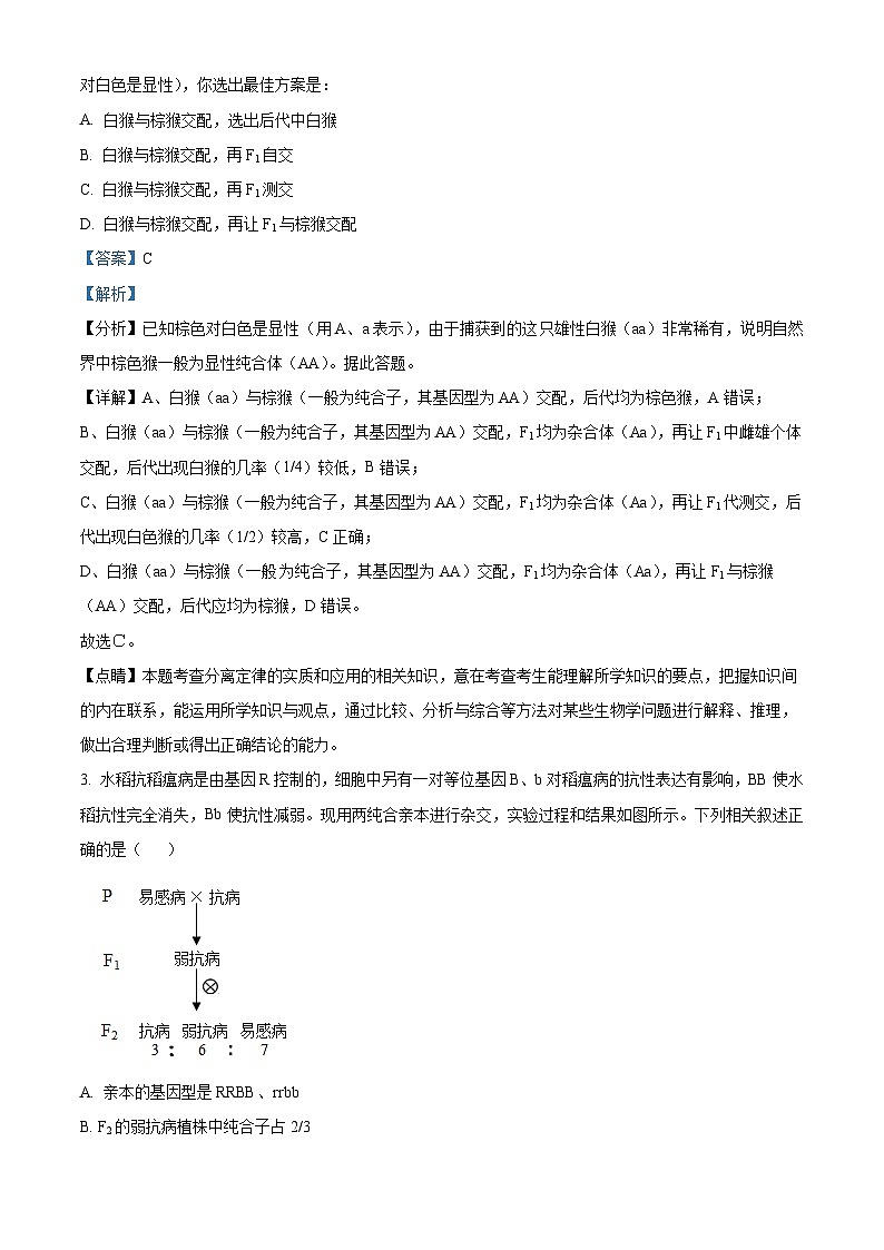 四川省成都市青羊区树德中学2023-2024学年高一下学期5月期中生物试题(原卷版+解析版)02