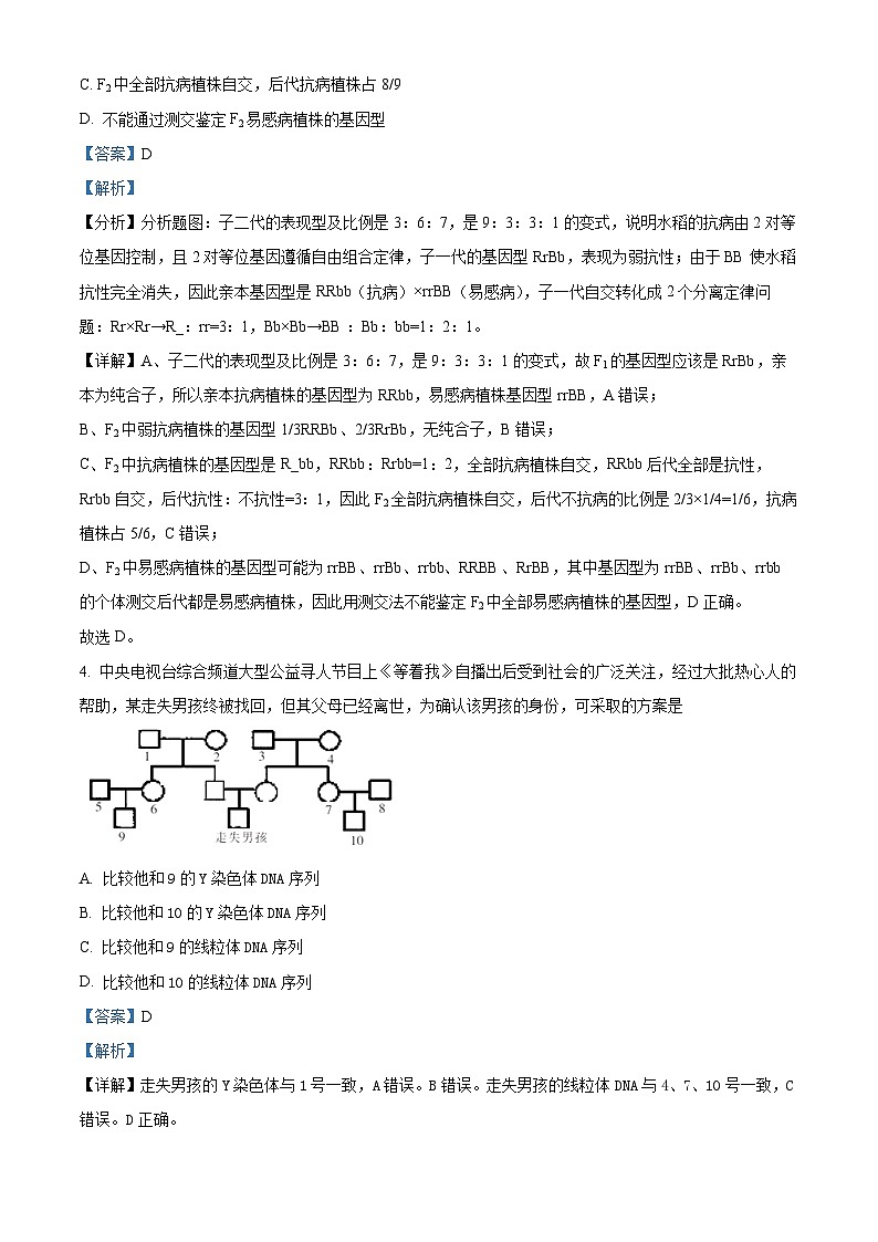 四川省成都市青羊区树德中学2023-2024学年高一下学期5月期中生物试题(原卷版+解析版)03