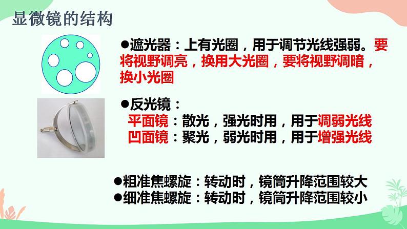 【核心素养】人教版高中生物必修一1.2《细胞的多样性和统一性》课件+课时练习+教案(含教学反思)08