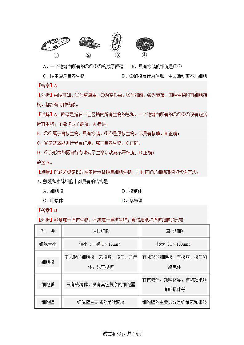 【核心素养】人教版高中生物必修一1.2《细胞的多样性和统一性》课件+课时练习+教案(含教学反思)03