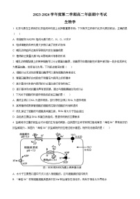 江苏省南通市海安高级中学2023-2024学年高二下学期期中考试生物试卷（Word版附解析）