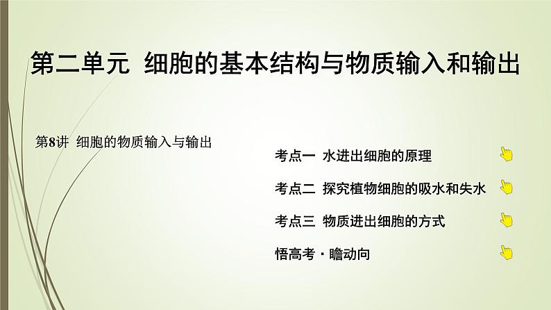 2025届高考 一轮复习 人教版 蛋白质是生命活动的主要承担者 课件 (江苏版) (2)第1页
