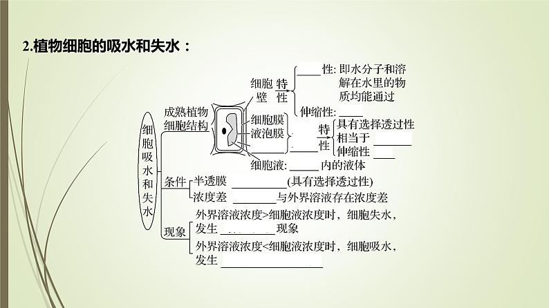 2025届高考 一轮复习 人教版 蛋白质是生命活动的主要承担者 课件 (江苏版) (2)第7页