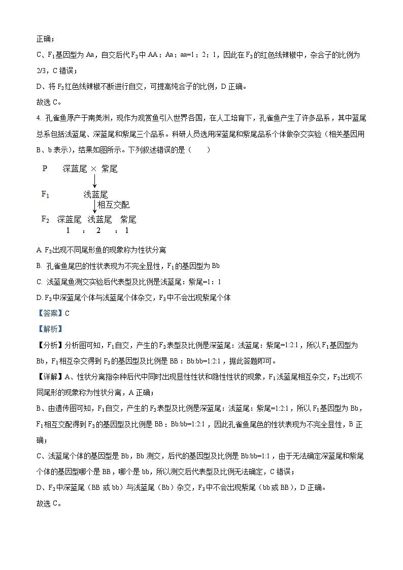 黑龙江省鸡西市鸡冠区第一中学2023-2024年高一下学期期中考试(十校联考)生物试题(解析版)第3页