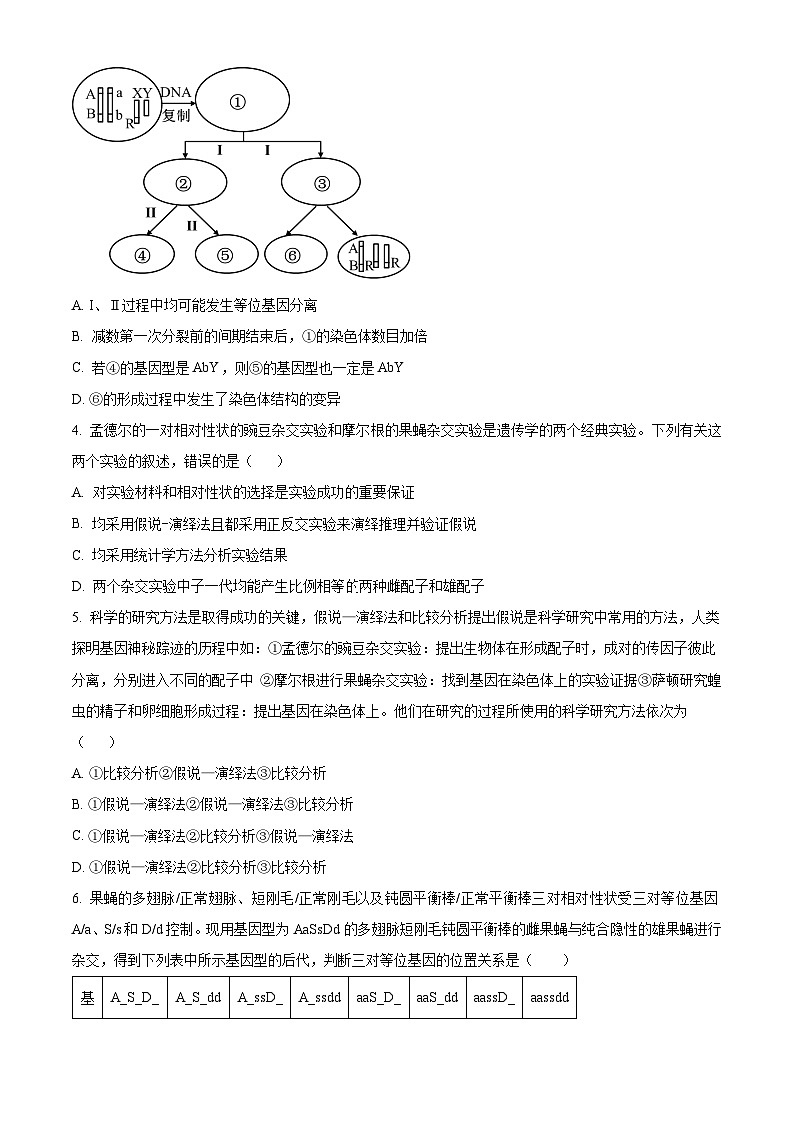 江西省上饶市广丰中学2023-2024学年高一下学期5月月考生物试题(原卷版)第2页