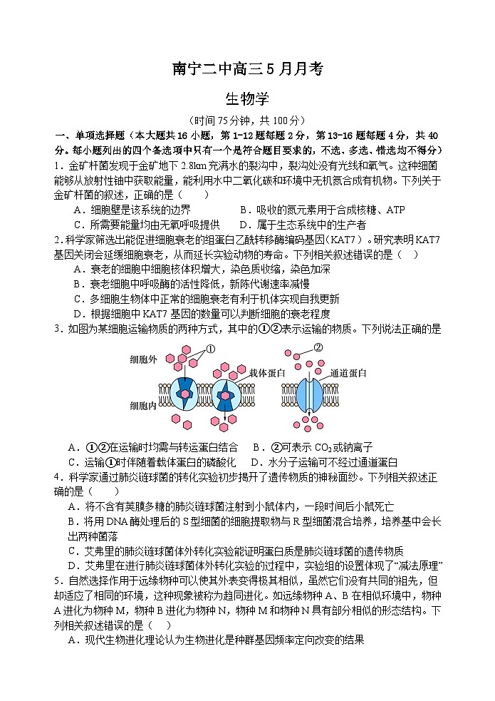 2024南宁二中高三下学期5月月考试题生物含解析第1页