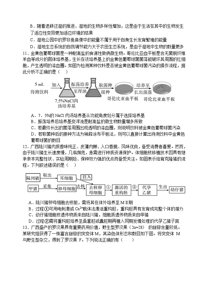 2024南宁二中高三下学期5月月考试题生物含解析第3页