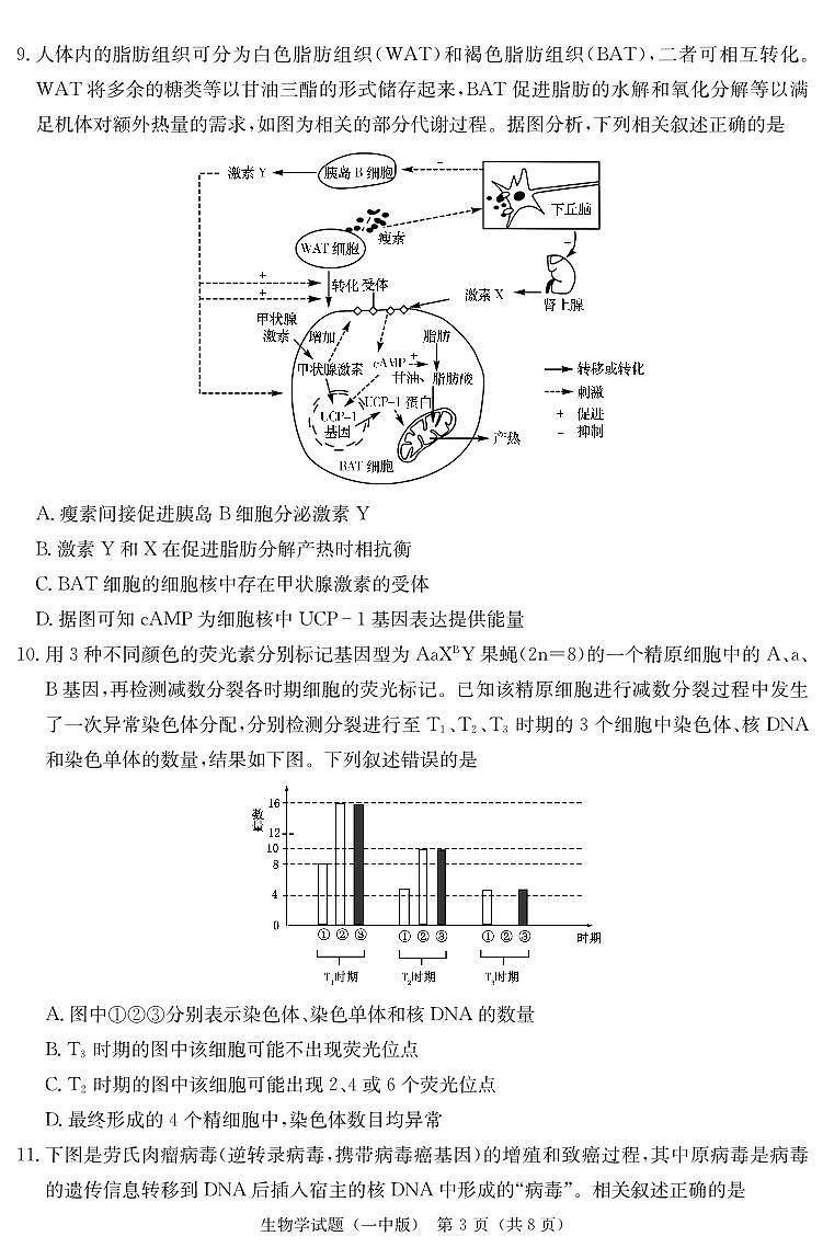 生物演练卷(一中高三二模)第3页