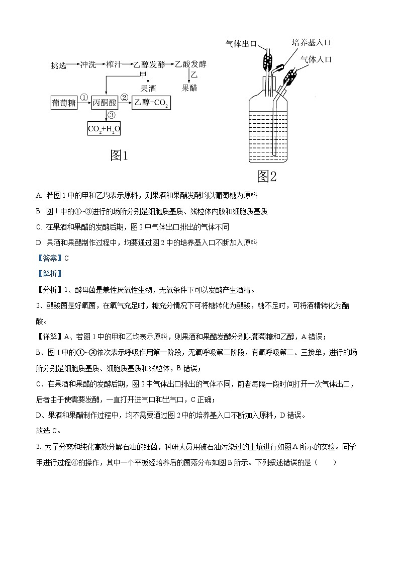 吉林省通化市梅河口市第五中学2023-2024学年高二下学期5月期中生物试题(原卷版+解析版)02