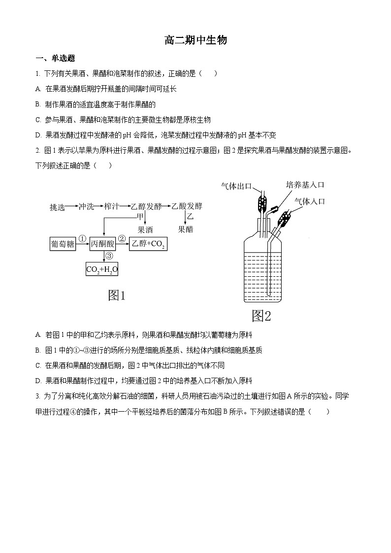 吉林省通化市梅河口市第五中学2023-2024学年高二下学期5月期中生物试题(原卷版+解析版)01