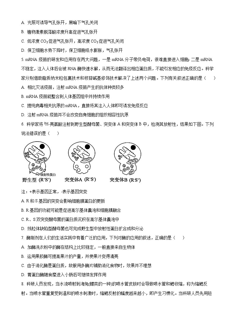 2024年辽宁高考生物学冲刺押题卷(六)(原卷版)第2页