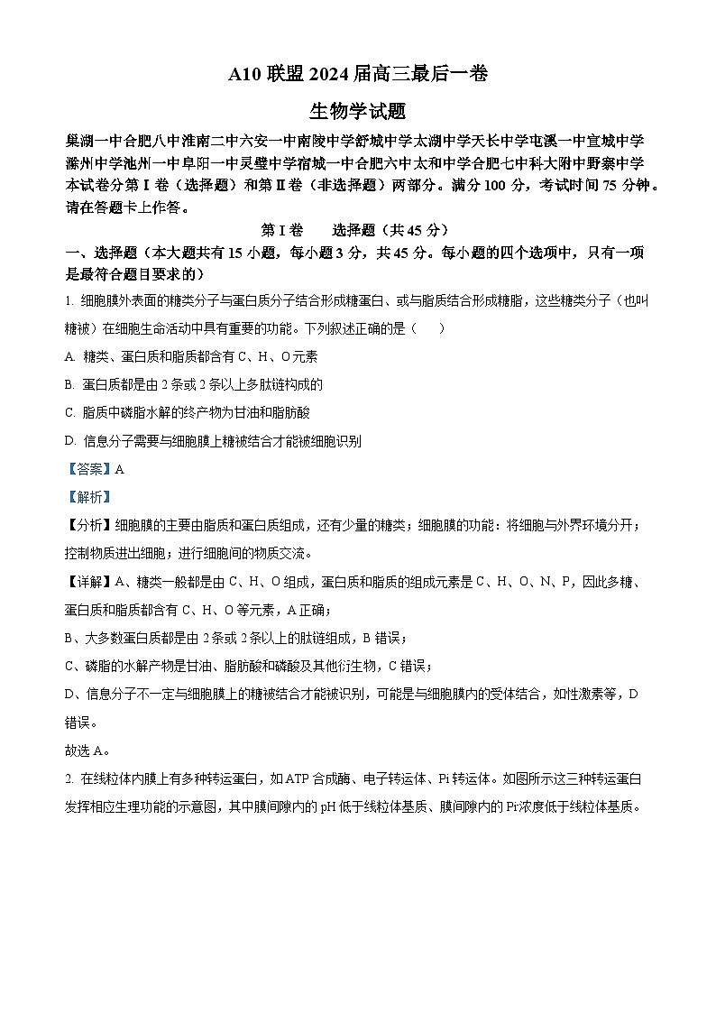 2024届安徽省A10联盟高三下学期最后一卷生物试题(原卷版+解析版)01