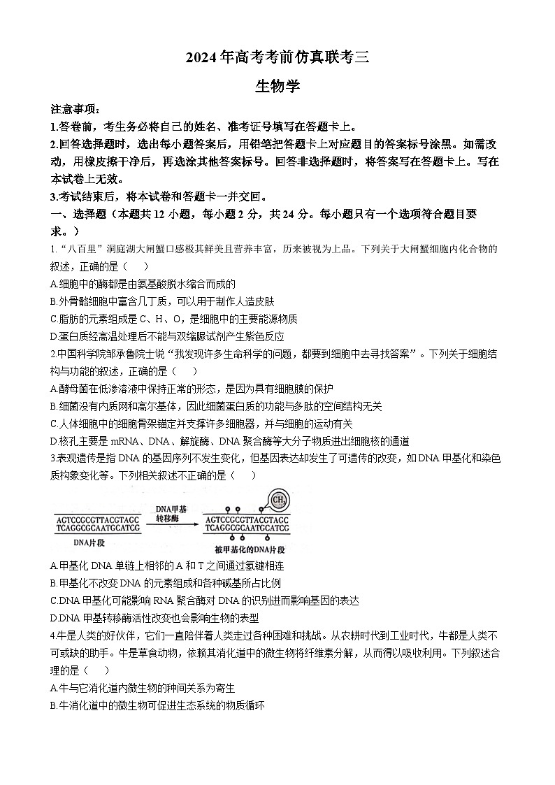 2024届湖南省衡阳市祁东县高三下学期三模联考生物试题(无答案)第1页