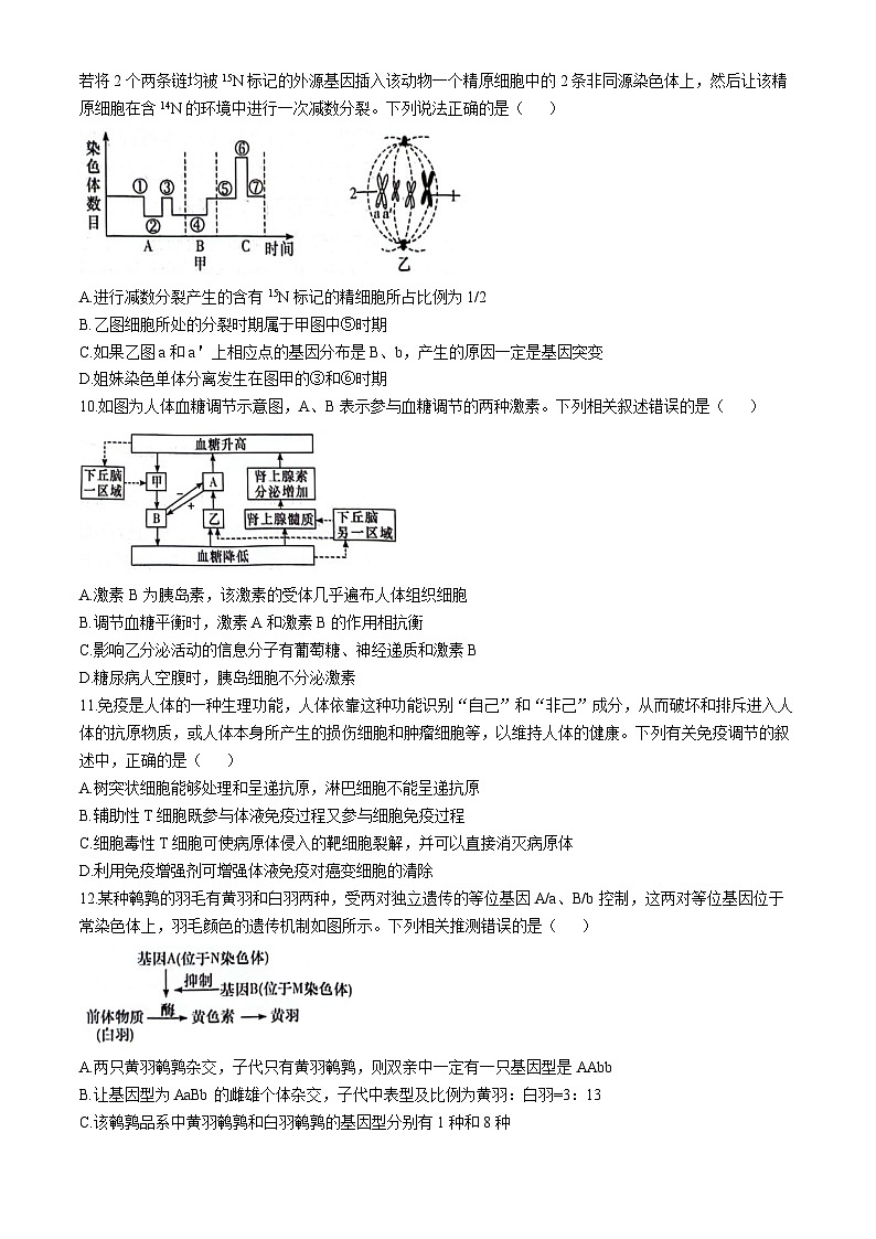 2024届湖南省衡阳市祁东县高三下学期三模联考生物试题(无答案)第3页