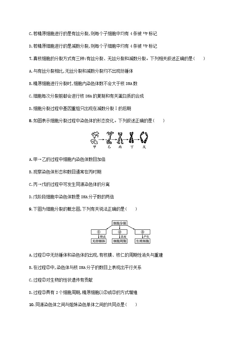 高考生物一轮复习专项练习单元质检卷四细胞的生命历程含答案第3页