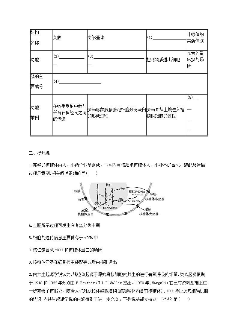高考生物一轮复习专项练习课时规范练5细胞器与生物膜系统含答案第3页