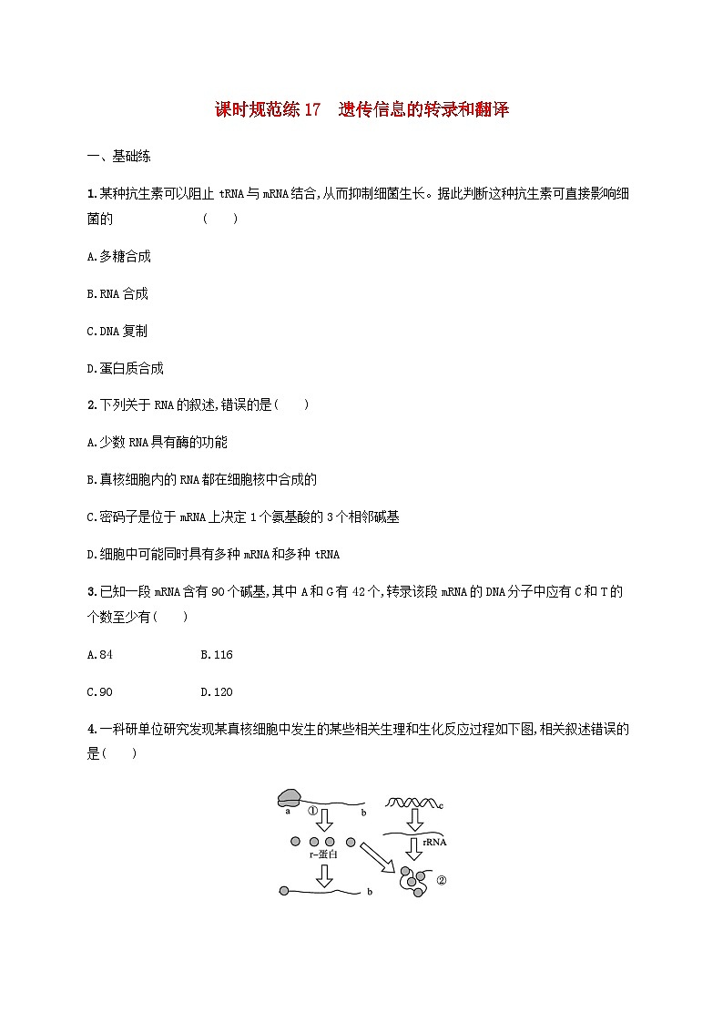 高考生物一轮复习专项练习课时规范练17遗传信息的转录和翻译含答案第1页