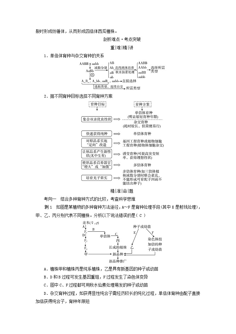 高考生物一轮总复习必修2第七单元第二讲染色体变异及其应用考点二生物育种的原理及应用学案第3页