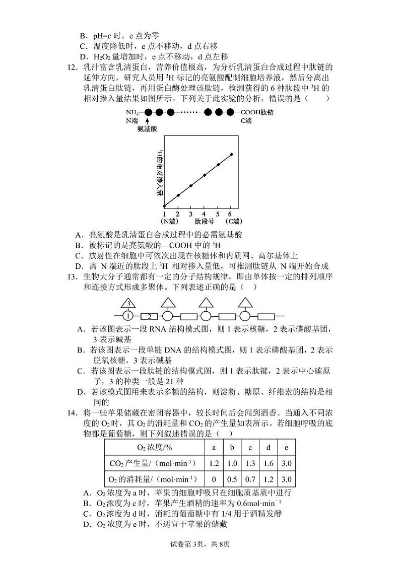 期末考(1)第3页