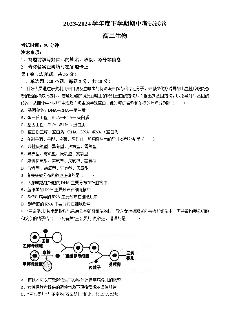 辽宁省朝阳市建平县实验中学2023-2024学年高二下学期5月期中生物试题(无答案)01