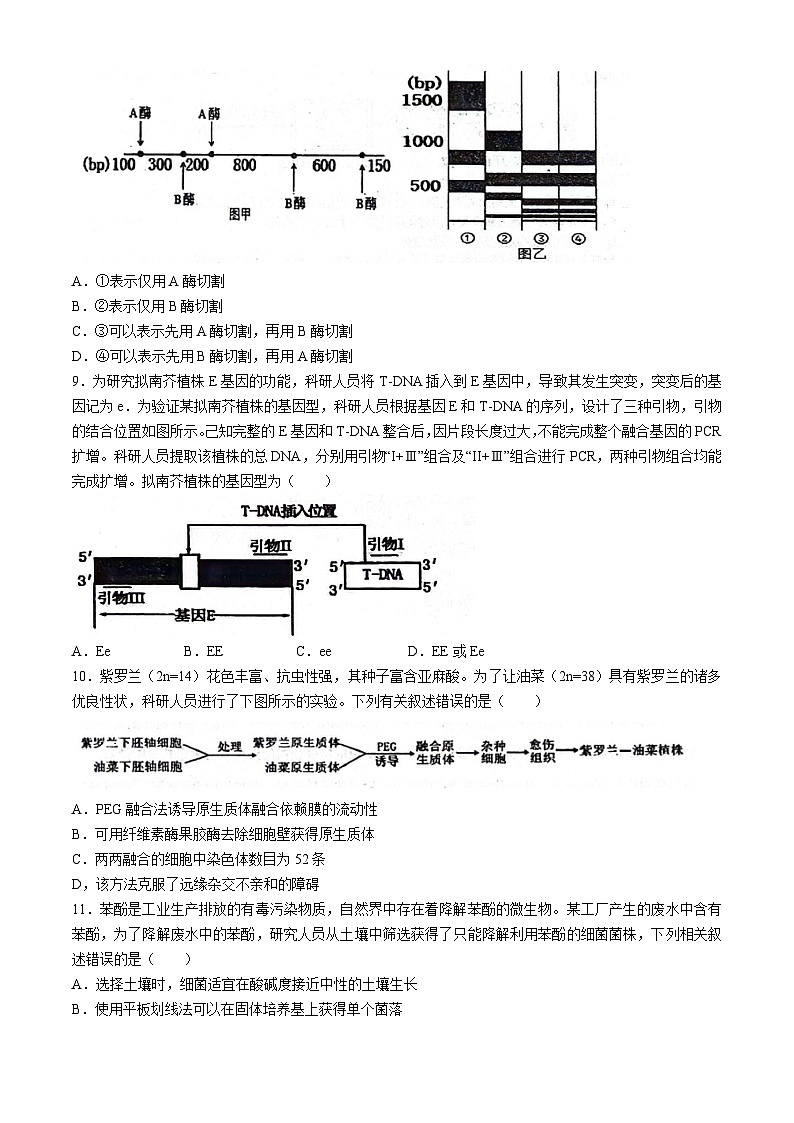 辽宁省朝阳市建平县实验中学2023-2024学年高二下学期5月期中生物试题(无答案)03