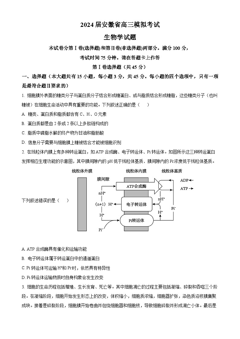安徽省池州市部分省示范中学2024届高三下学期模拟考试模拟预测生物试题 Word版无答案第1页